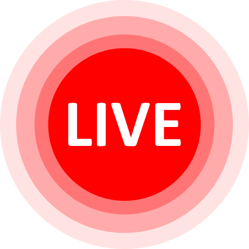 Lovesense Webcam